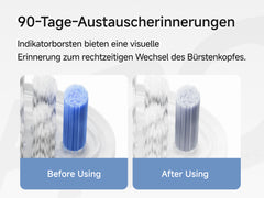 Laifen Max-Bürstenkopf, harte Borsten, für alle Laifen-Modelle